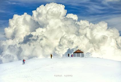 Mushkpuri Top