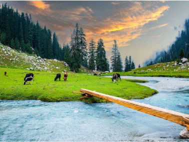 Kumrat Valley Tour Packages