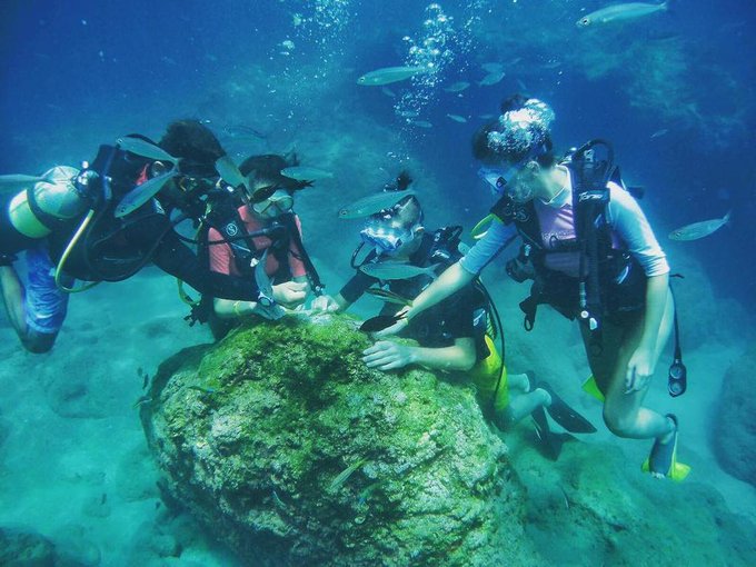 Charna Island Tour Packages