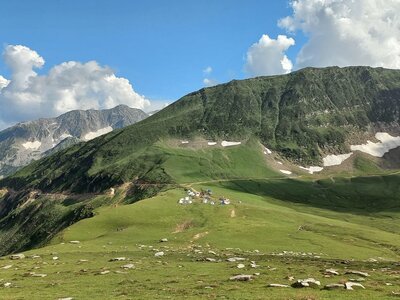 Baboon Meadows Kashmir