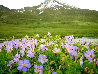 Deosai Plain Skardu