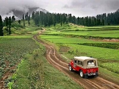 Lalazar Meadows