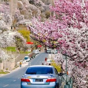Hunza Skardu Tours