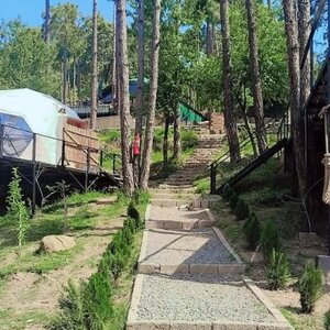 Murree Tours