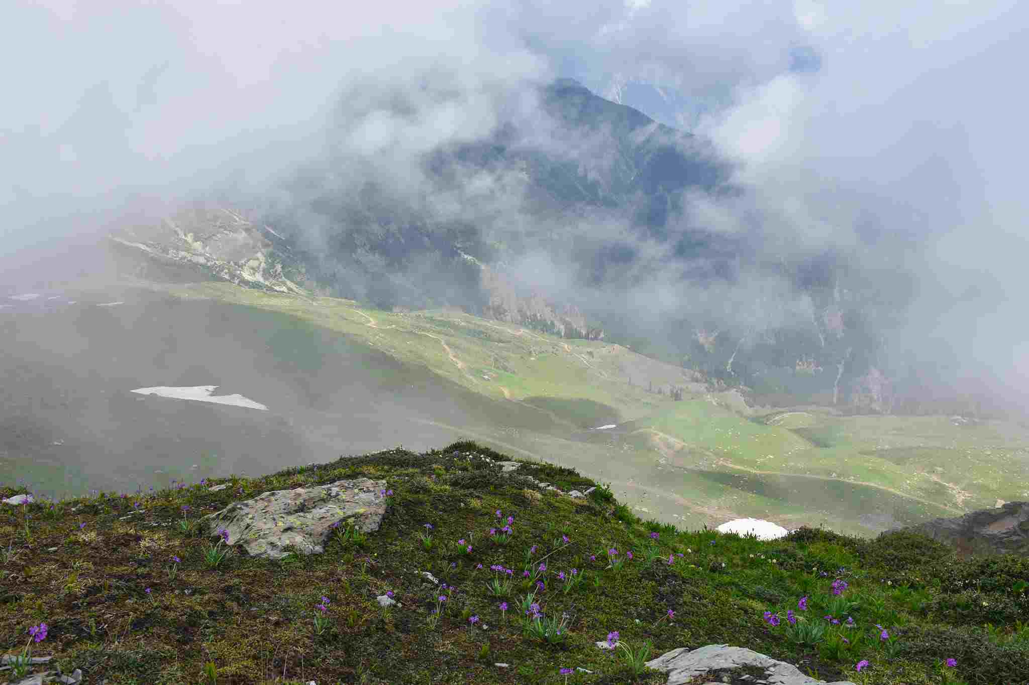 Desan Meadows Swat