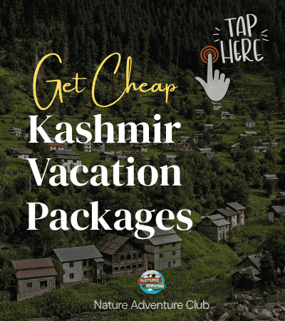 Kashmir Tour Banner