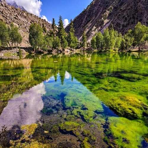Naltar Lake