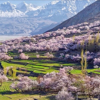 Spring in Skardu Hunza