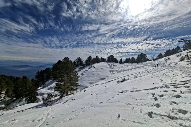 Mushkpuri Top